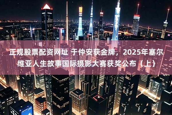 正规股票配资网址 于仲安获金牌，2025年塞尔维亚人生故事国际摄影大赛获奖公布（上）